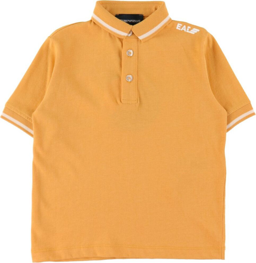 Polo - Gul - - 12 år (152) - Polo