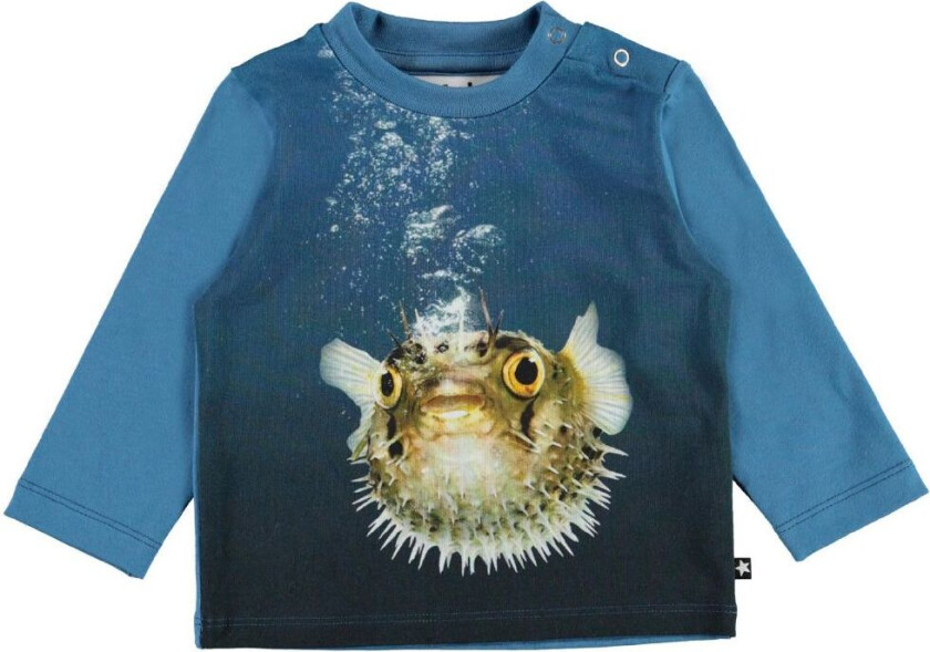 Genser - Enovan - Pufferfish - - 62 - Genser