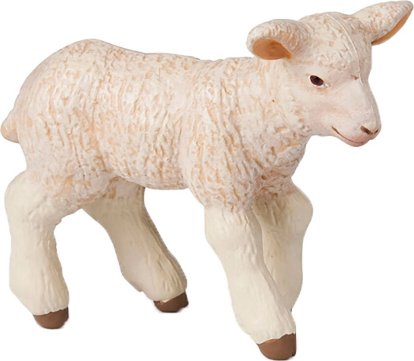 Lam - L: 7 cm - - OneSize - Lekedyr