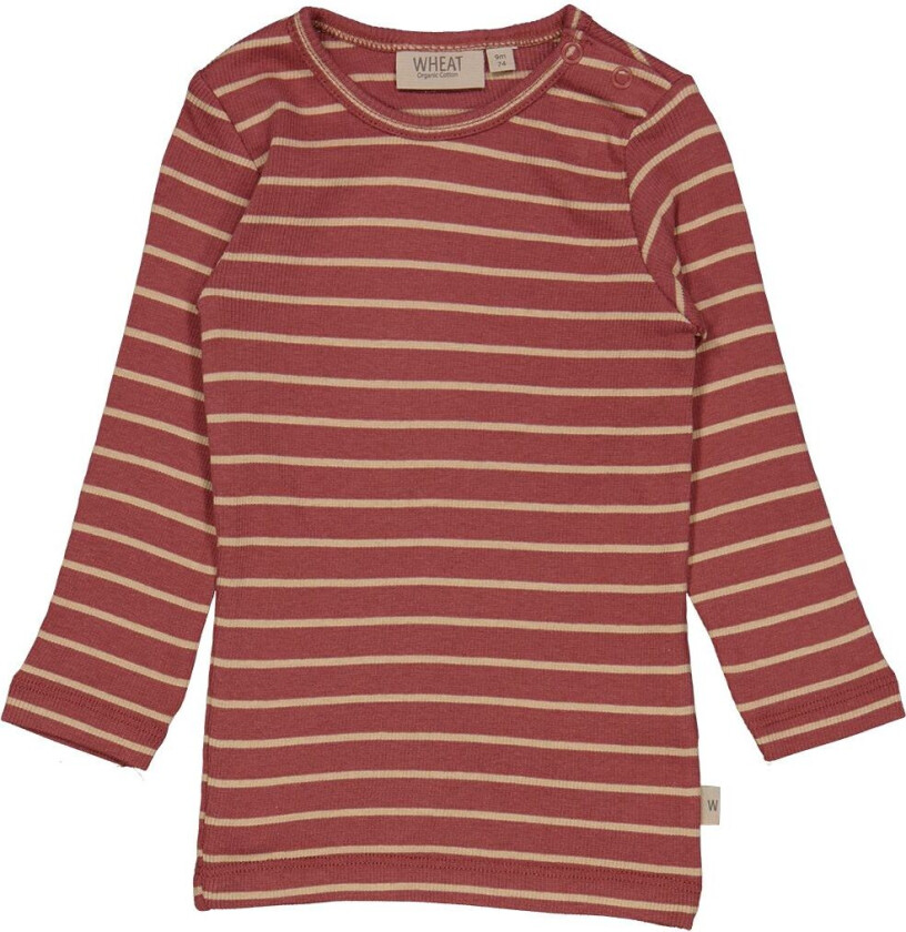 Genser - Rib - Apple Smør Stripe - - 62 - Genser