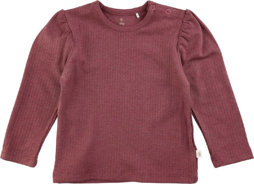 Siblings Genser - Brun - - 68 - Genser