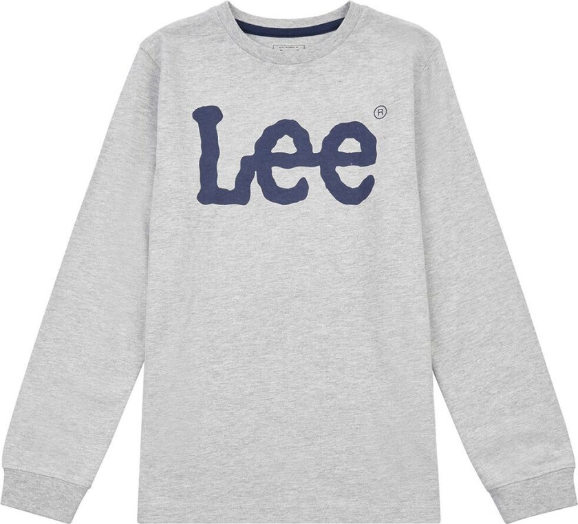 Genser - vinglete grafikk - Vintage Grey Heather - - 8-9 år (128-134) - Genser