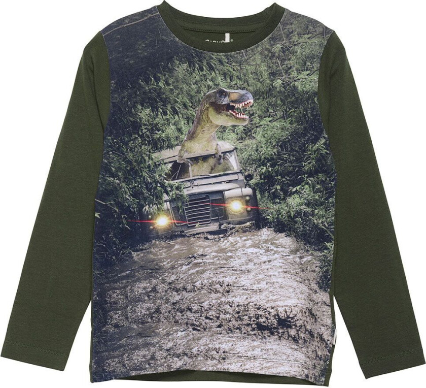 Genser - Forest Natt m. Dinosaur - - 2 år (92) - Genser