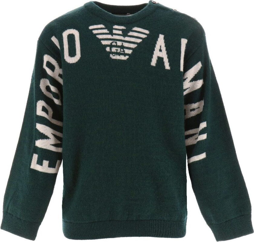 Genser - Ull/Akryl - Grønn/Hvit - - 12 md - Genser