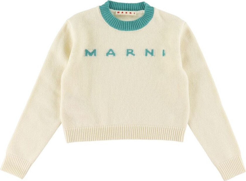 Genser - Ull - Beskåret - Hvit/Turkis - - 8 år (128) - Genser