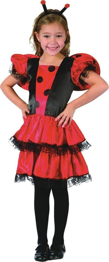 Marihøne Kostymer - Coccinella - - 120/130 - Kostymer