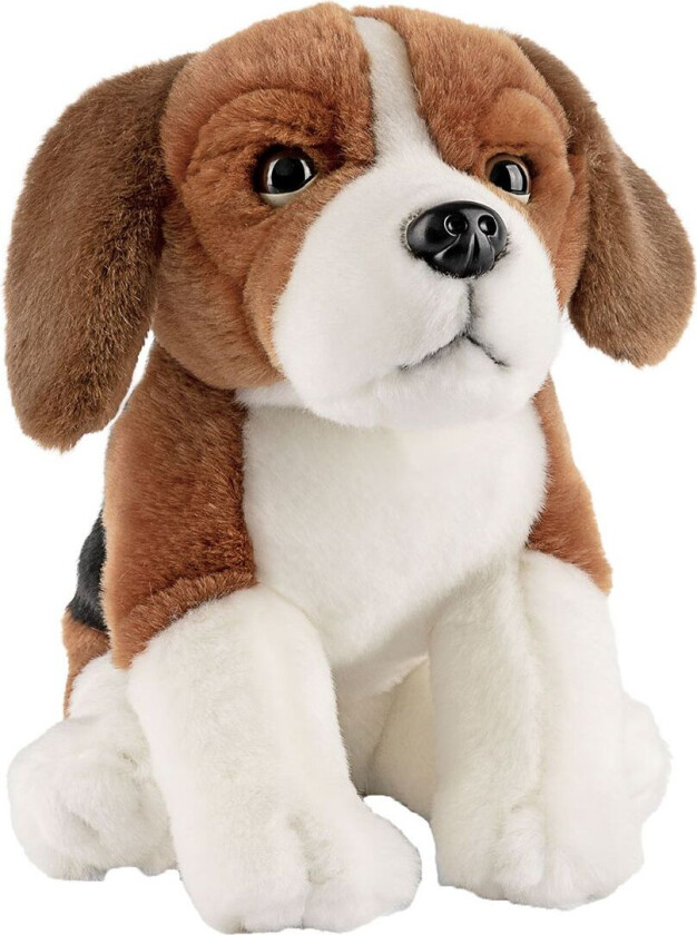 Kosedyr - 24x19 cm - Beagle - Svart/Brun/Hvit - - OneSize - Kosedyr