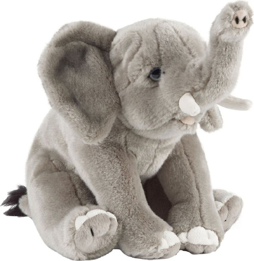 Kosedyr - 23x17 cm - Elefant - Grå - - OneSize - Kosedyr