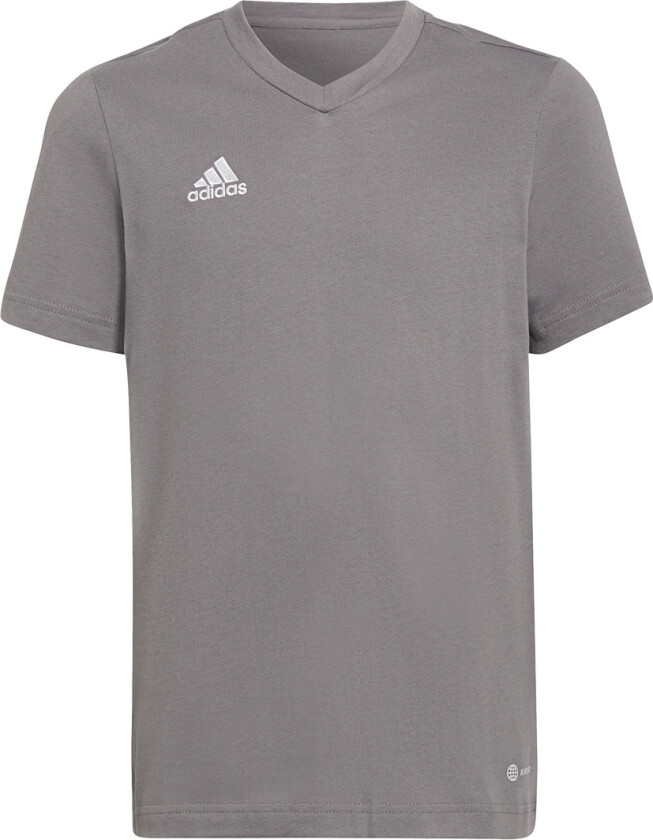 T-skjorte - Ent22 Tee Y - Grå/Hvit - - 10 år (140) - T-skjorte