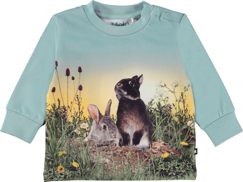 Genser - Eloy - Rabbit Life - - 1 år (80) - Genser