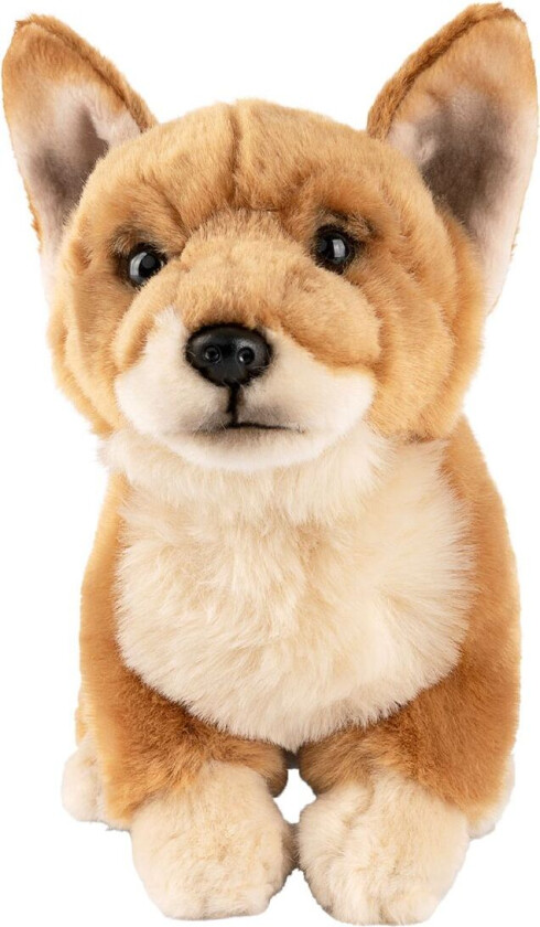 Kosedyr - 23x21 cm - Dorgi - Brun - - OneSize - Kosedyr