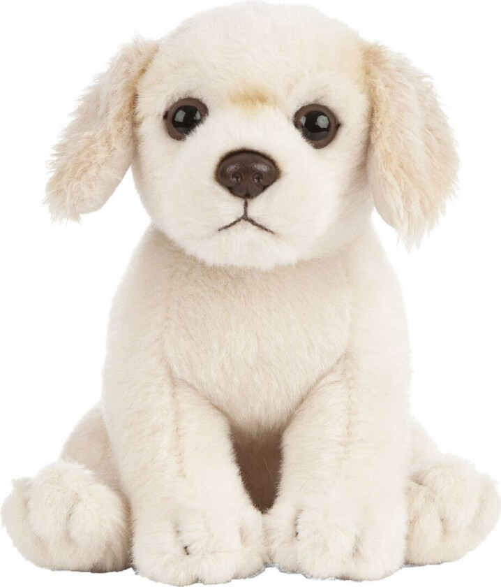 Kosedyr - 17x7 cm - Golden Retrievervalp - Beige - - OneSize - Kosedyr