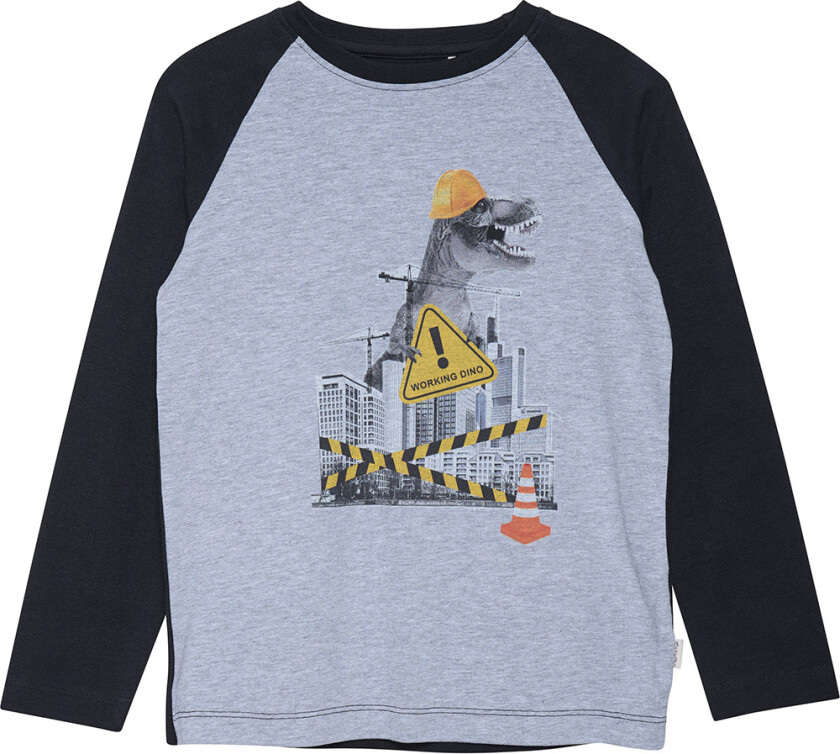 Genser - Trykksko m. Dinosaur - - 1½ år (86) - Genser