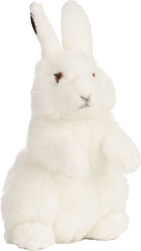 Kosedyr - 27x16 cm - Arctic Hare - Hvit - - OneSize - Kosedyr