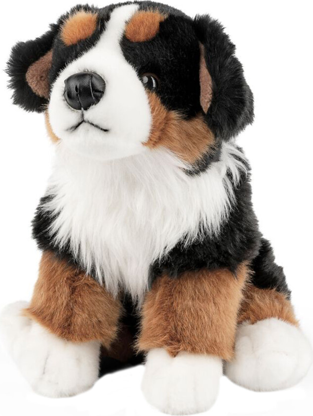 Kosedyr - 30x21 cm - Berner Sennenhund - Brun/Svar - - OneSize - Kosedyr
