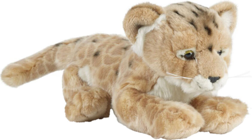 Kosedyr - 47x25 cm - Løveunge - Beige - - OneSize - Kosedyr