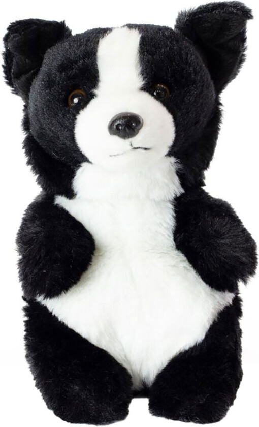Kosedyr - 18x10 cm - Baby Border Collie - Svart/Hv - - OneSize - Kosedyr