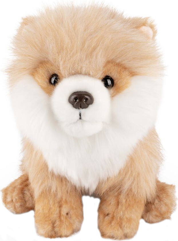 Kosedyr - 28x17 cm - Pomeranian - Beige - - OneSize - Kosedyr