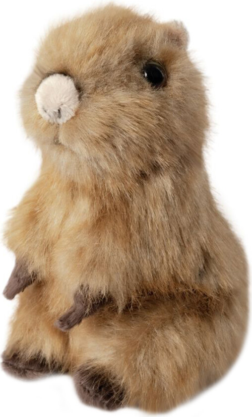 Kosedyr - 14x7 cm - Baby Capivar - Brun - - OneSize - Kosedyr