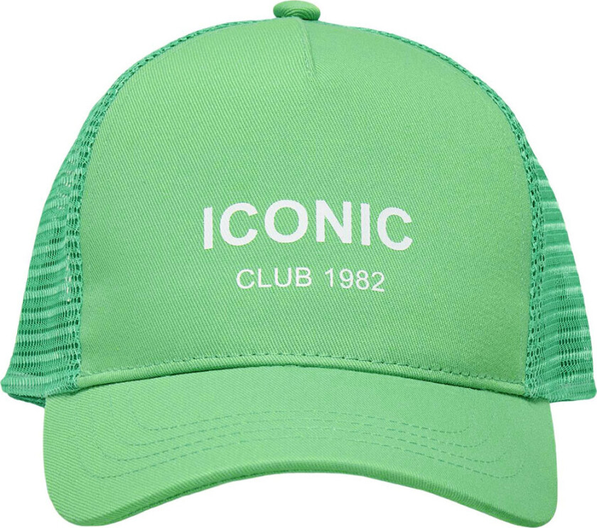 Bilde av Caps - KogSille - Mesh - Spring Bukett - - 53-54 cm - Caps