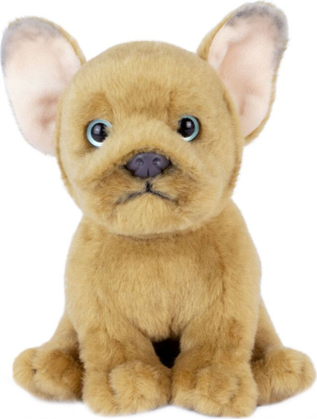 Kosedyr - 17x9 cm - Fransk Bulldog Valp - Brun - - OneSize - Kosedyr