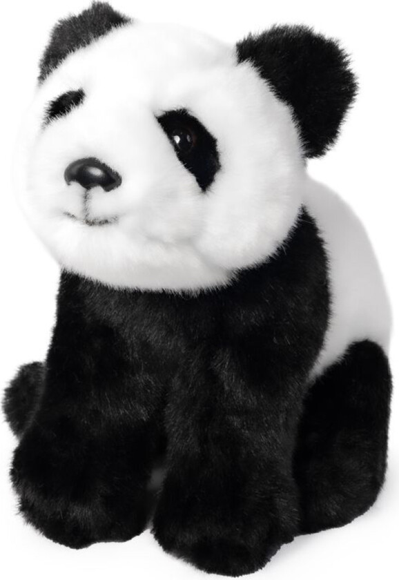 Kosedyr - 16x12 - Panda Young - Svart/Hvit - - OneSize - Kosedyr