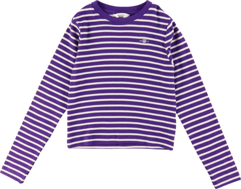 Genser - Beskåret - Rib - Pansy Purple/Hvit Stripet - - 11-12 år (146-152) - Genser