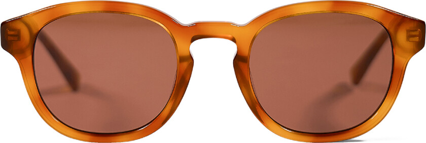 Solbriller - Bille The Kid - Brown Havana - - OneSize - Solbriller