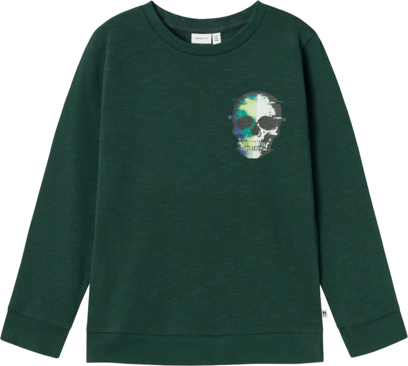 Collegegenser - NkmKebrian - Pine Grove - - 6 år (116) - Collegegenser