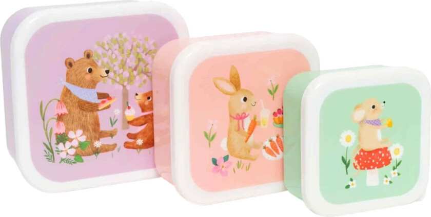 Matboks Sett - Piknik for dyr - - OneSize - Matboks