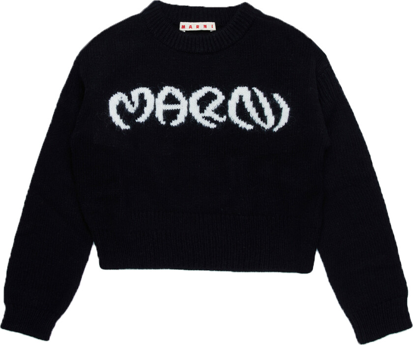 Genser - Beskåret - Ull/Nylon - Svart m. Hvit - - 10 år (140) - Genser