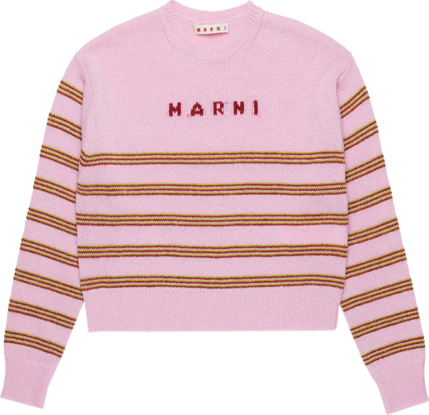 Genser - Beskåret - Strikk - Lilac Sachet - - 10 år (140) - Genser