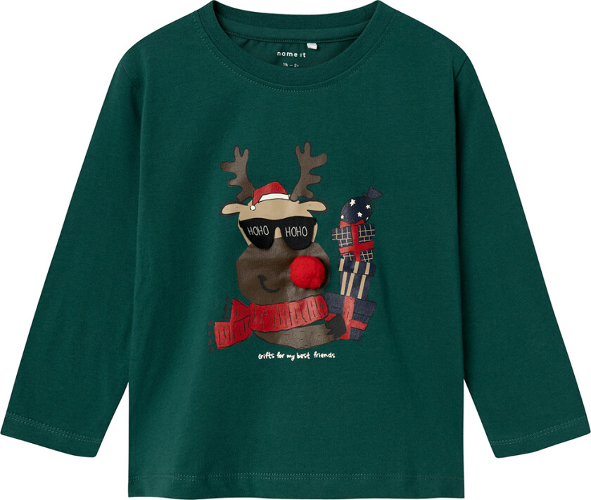 Genser - NmmRcandy - Botanisk Garden - - 4 år (104) - Genser