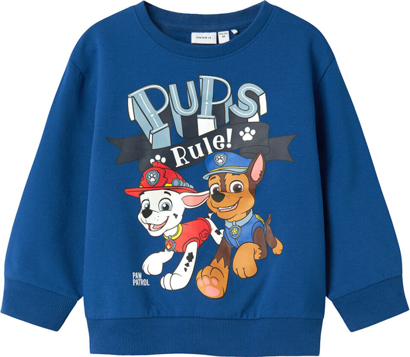 Collegegenser - NmmDay Paw Patrol - Limoges - - 7-8 år (122-128) - Collegegenser