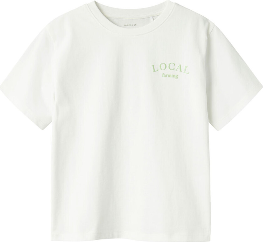 T-skjorte - NkfBoway - Cloud Danser/ARCDIAN Green - - 6 år (116) - T-skjorte