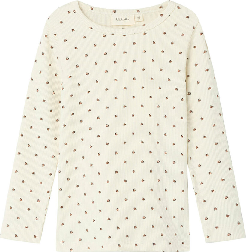 Lil' Atelier Genser - Ladybug - NmnLago - Turteldue - Lil Atelier - 4 år (104) - Genser
