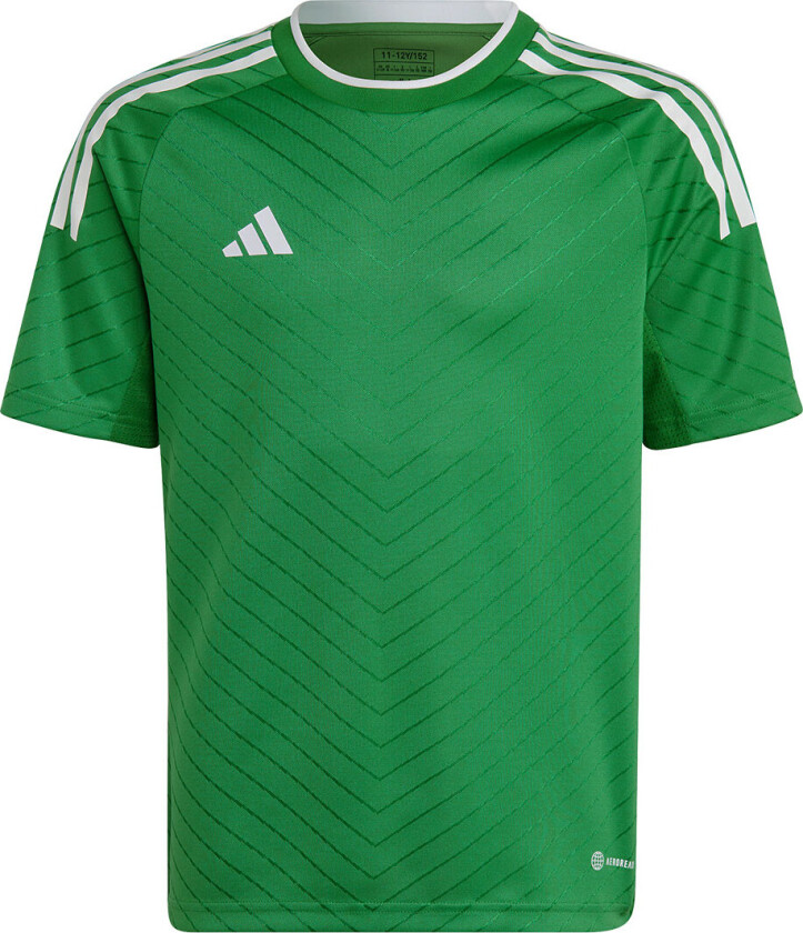 Spillerdrakt Campeon 23 - Grønn/Hvit Barn, størrelse 164 cm