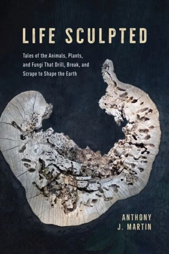 Life Sculpted av Anthony J. Martin