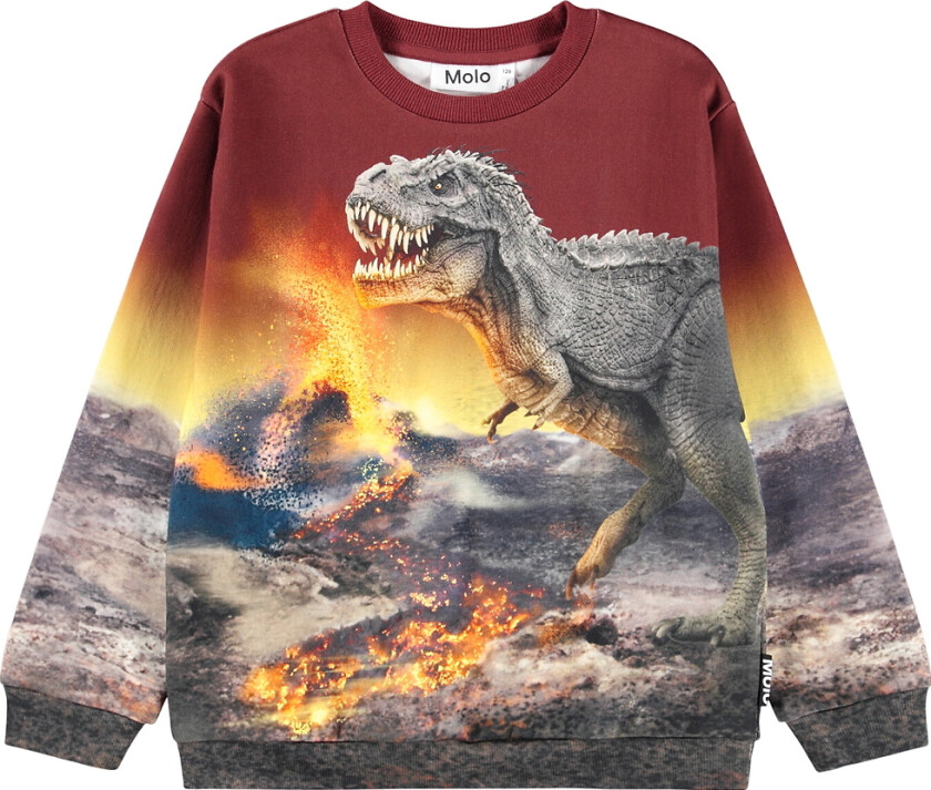 Genser - Blanding - Dino Landskap - - 6 år (116) - Genser