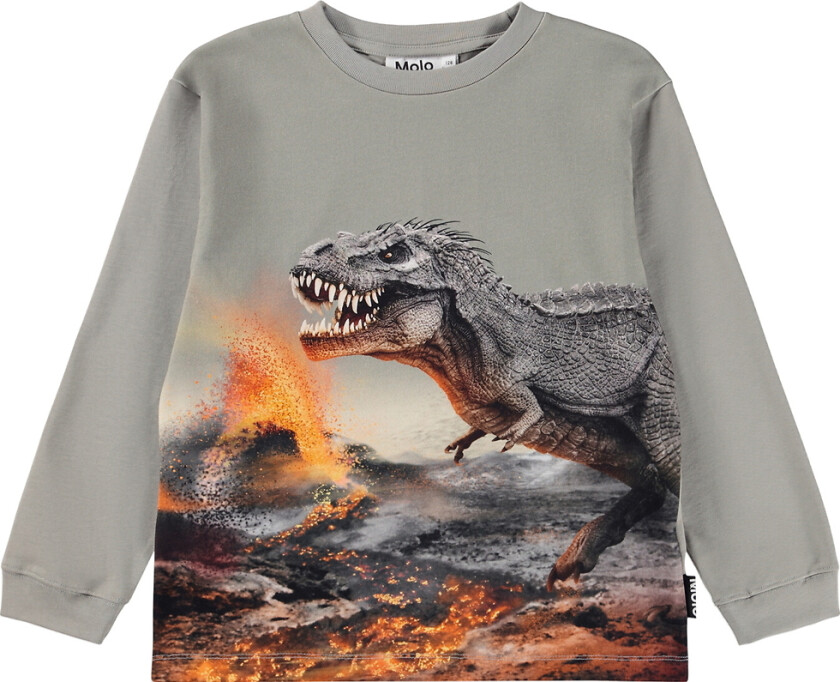 Genser - Rube - Dinosaur Tåke - - 7 år (122) - Genser