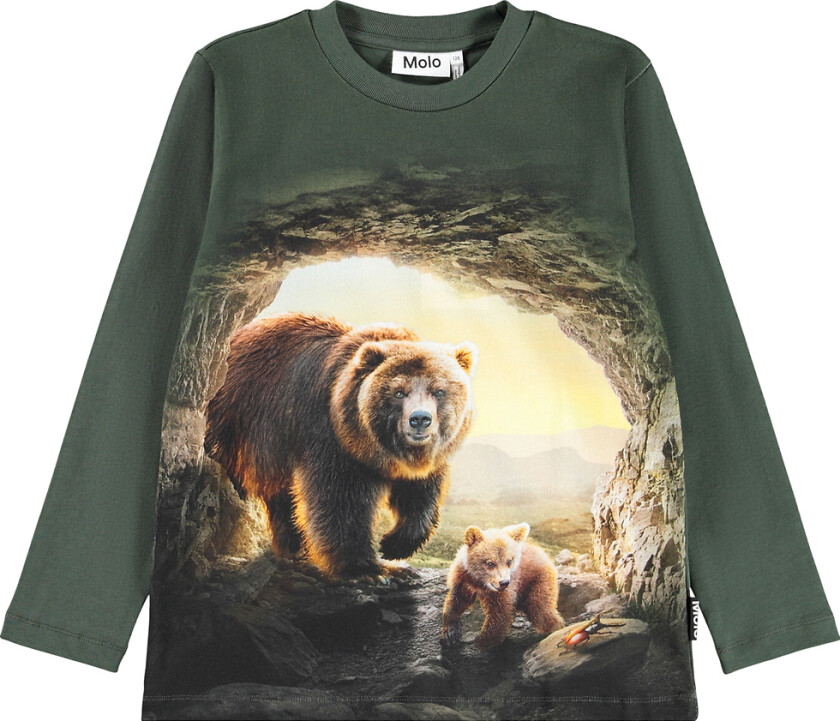 Genser - Reif - Bjørner i Cave - - 7 år (122) - Genser