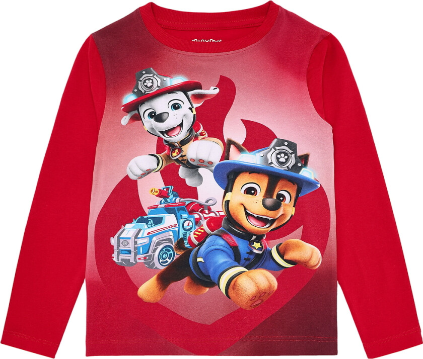 Genser - Paw Patrol - Salsa - - 6 år (116) - Genser
