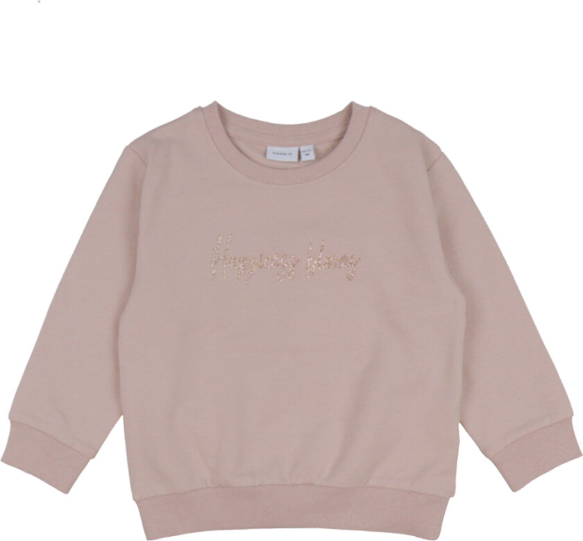 Collegegenser - NmfLaise - Polert Lilac - - 4 år (104) - Collegegenser