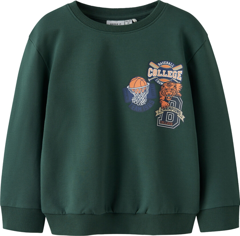 Collegegenser - NmmLeland - Garden Topiary m. Trykk - - 4 år (104) - Collegegenser