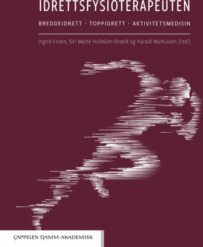 Idrettsfysioterapeuten