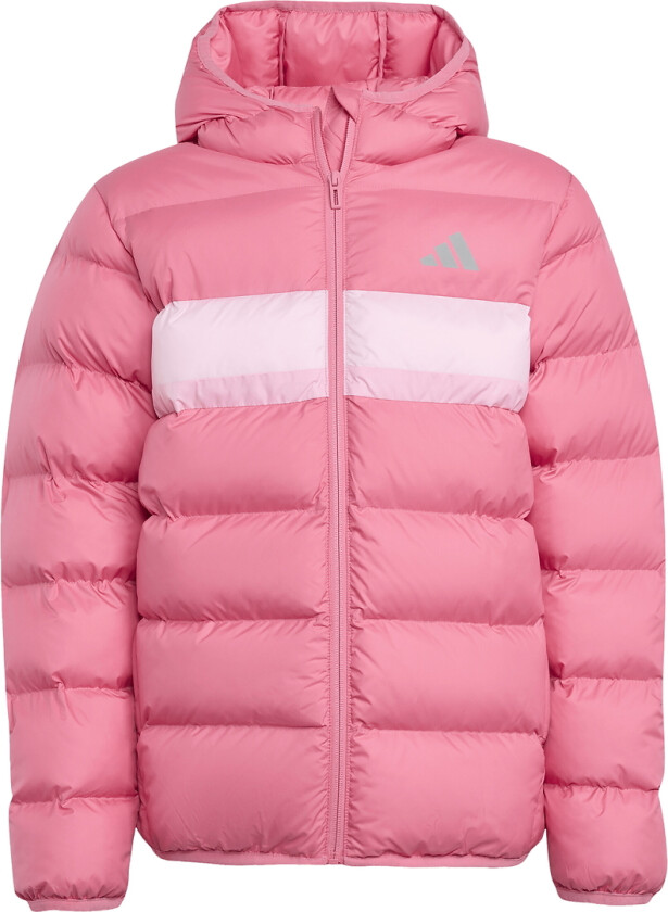 Polstret Jakke - Rosa Fusjon/Rosa/True Pink - - 14 år (164) - Dunjakke