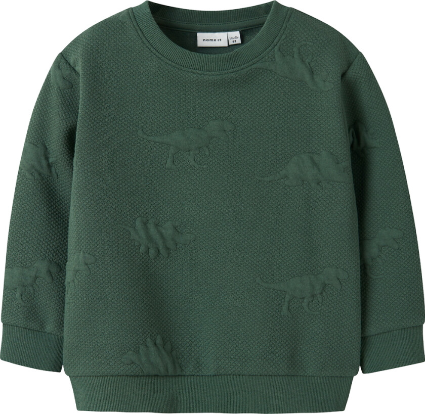 Collegegenser - NmmNolan - Garden Formklipping - - 3 år (98) - Collegegenser