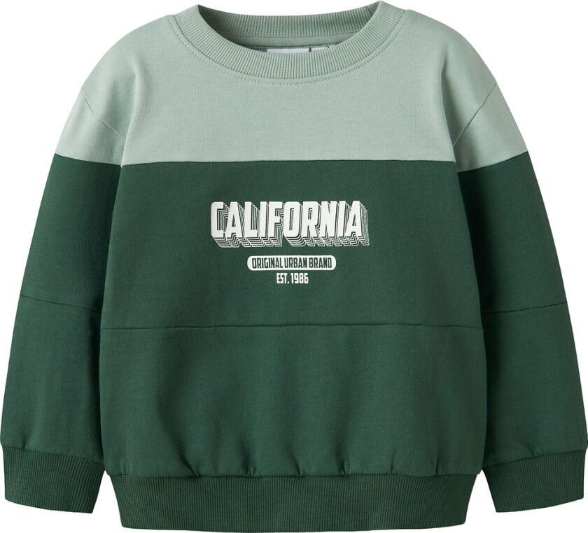 Collegegenser - NmmVemil - Garden Topiary/California Clo - - 4 år (104) - Collegegenser