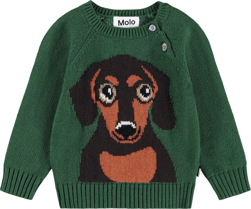 Genser - Strikk - Ull/Bomull - Dachshundvalp - - 1 år (80) - Genser