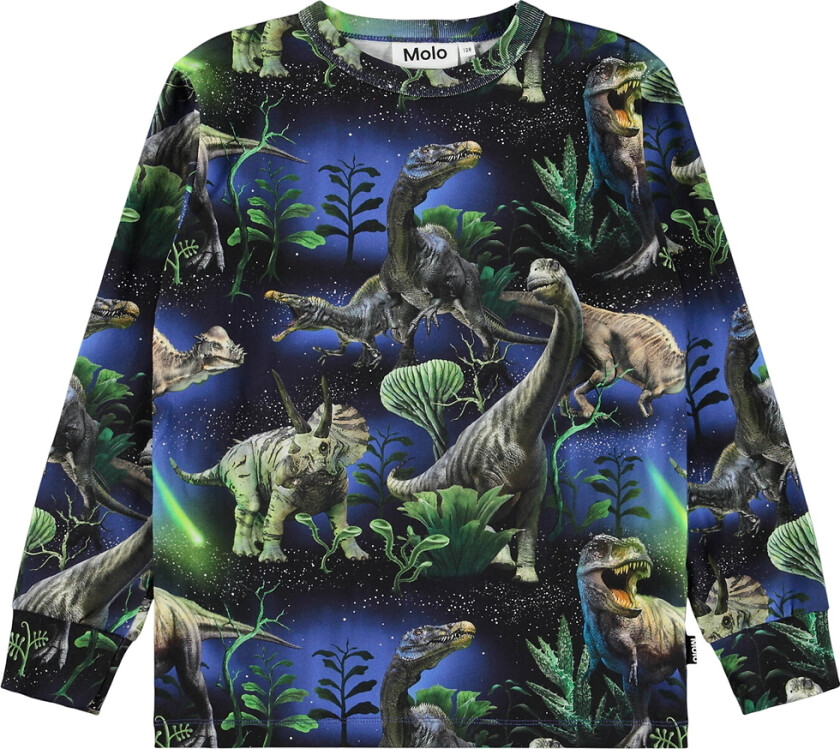 Genser - Groove - Dinorama - - 10 år (140) - Genser